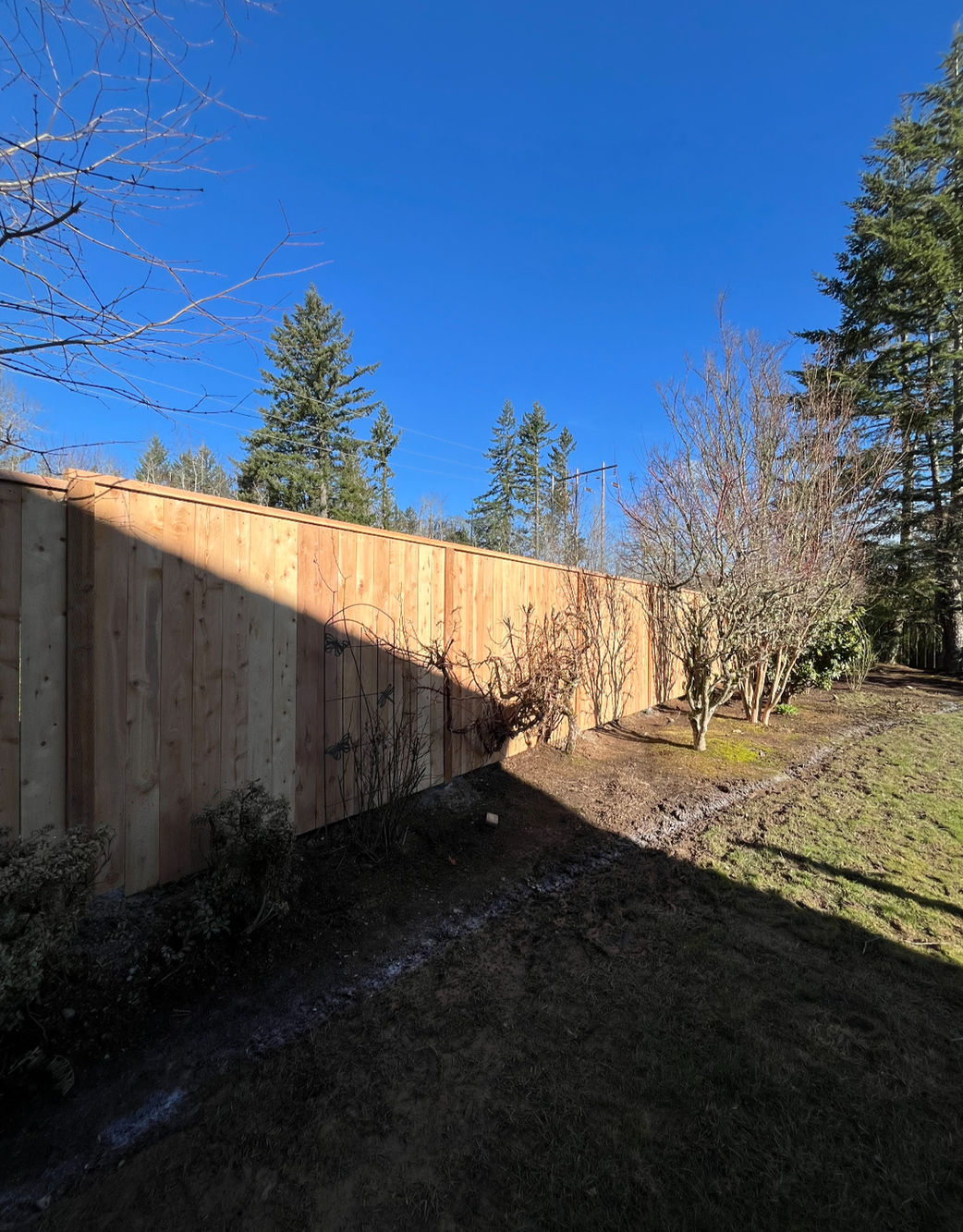 Wood fencing project by Weeping Willow for a Hillsboro area yard